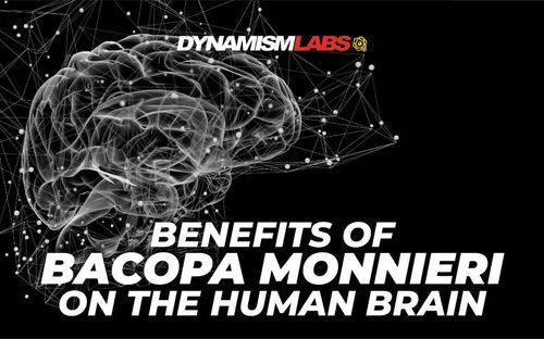 Benefits of Bacopa Monnieri on Human Brain