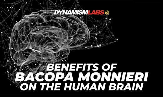 Benefits of Bacopa Monnieri on Human Brain