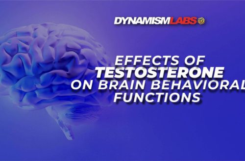 Effects Of Testosterone On Brain Behavioral Functions