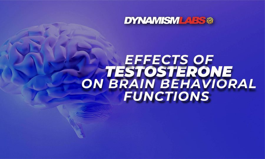 Effects Of Testosterone On Brain Behavioral Functions