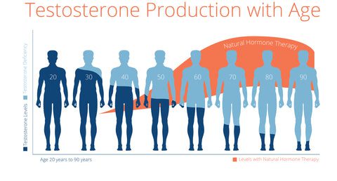 testosterone production by age