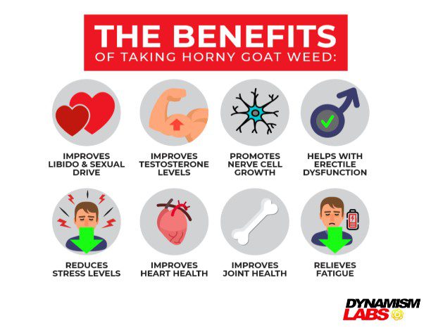 Benefits of taking horny goat weed