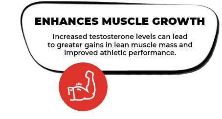 Enhances Muscle Growth
