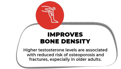 Improves Bone Density