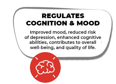 Regulates Cognition and Mood